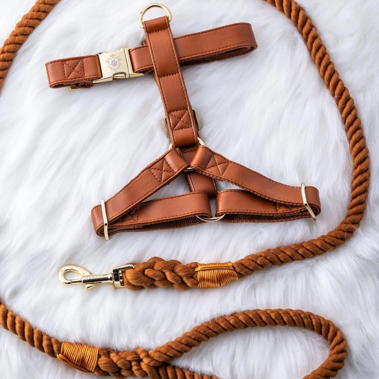 Calvados Rope Leash