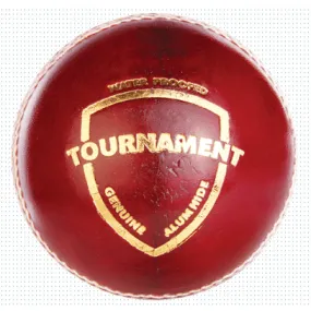 SG Tournament Cricket Ball - 156 grams